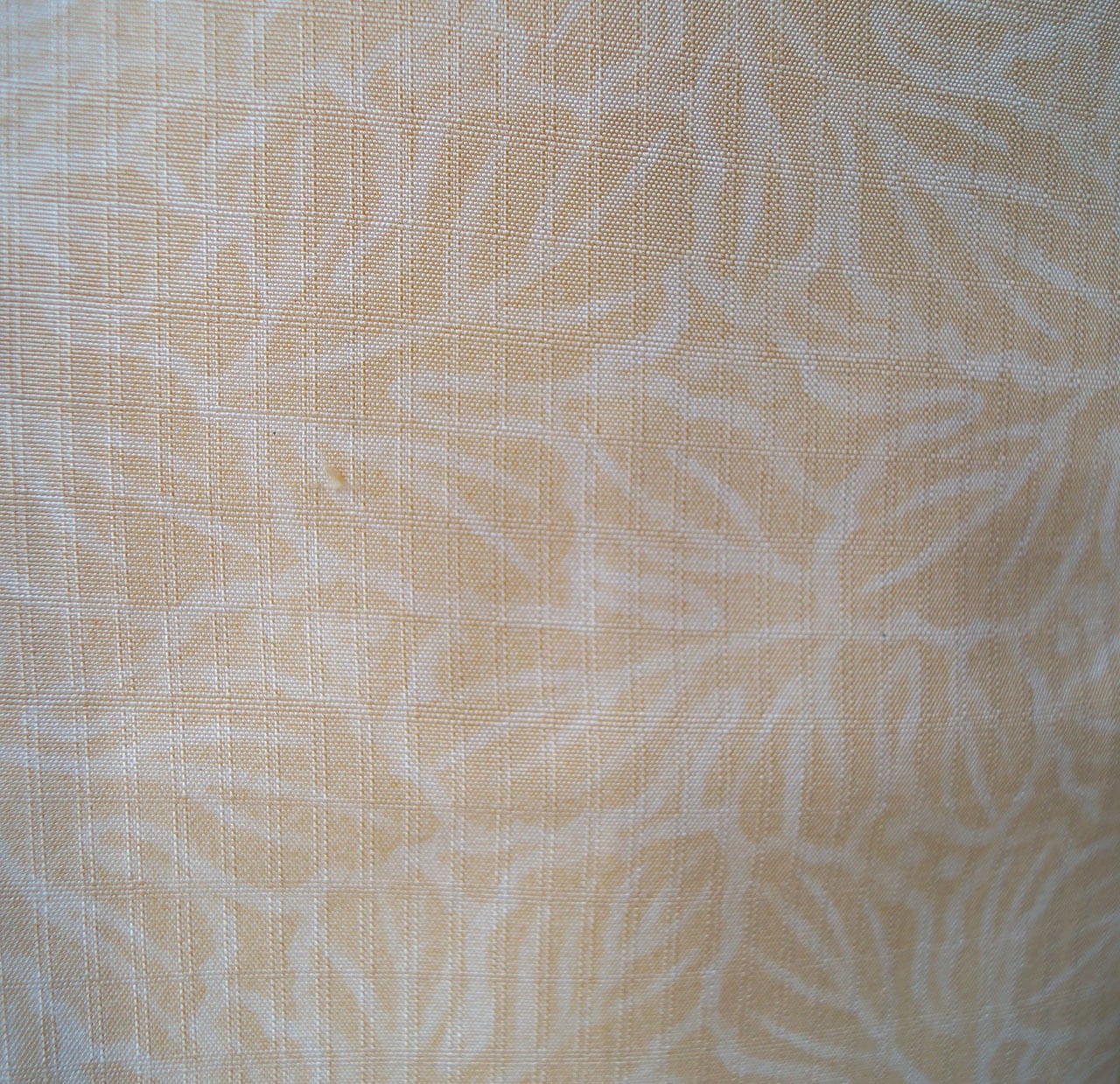 【袷】薄香色地 葡萄文 紬