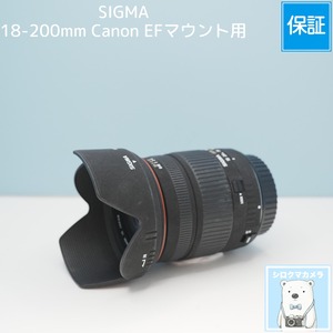 SIGMA 18-200mm Canon EFマウント用 標準+望遠レンズ シロクマカメラ a7077
