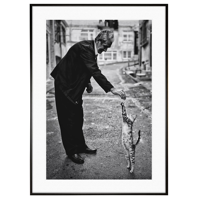 人物写真 猫に餌をあげる男性インテリアモノクロアートポスター額装 AS2300