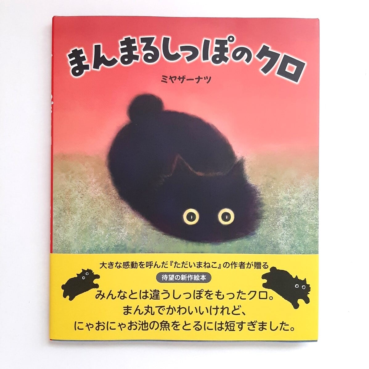 たまごさん専用☆ミニザクロちゃんと黒虫さんハラマルくんシマウサくんしましま猫さん まんまるしっぽのクロ | ねこのみち