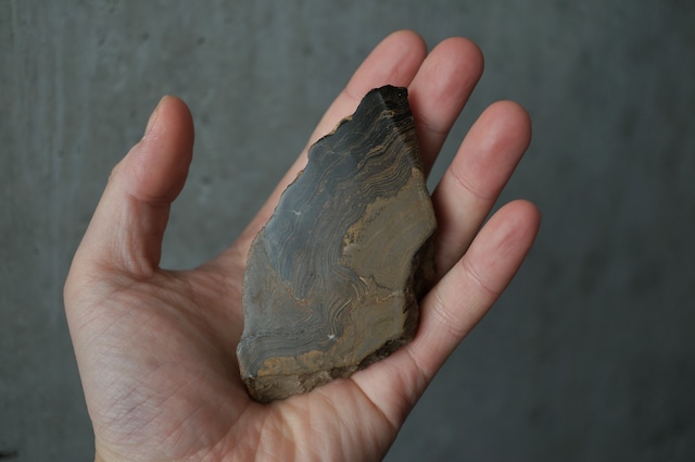 ボリビア ウユニ塩湖産ストロマトライト Stromatolite 1960