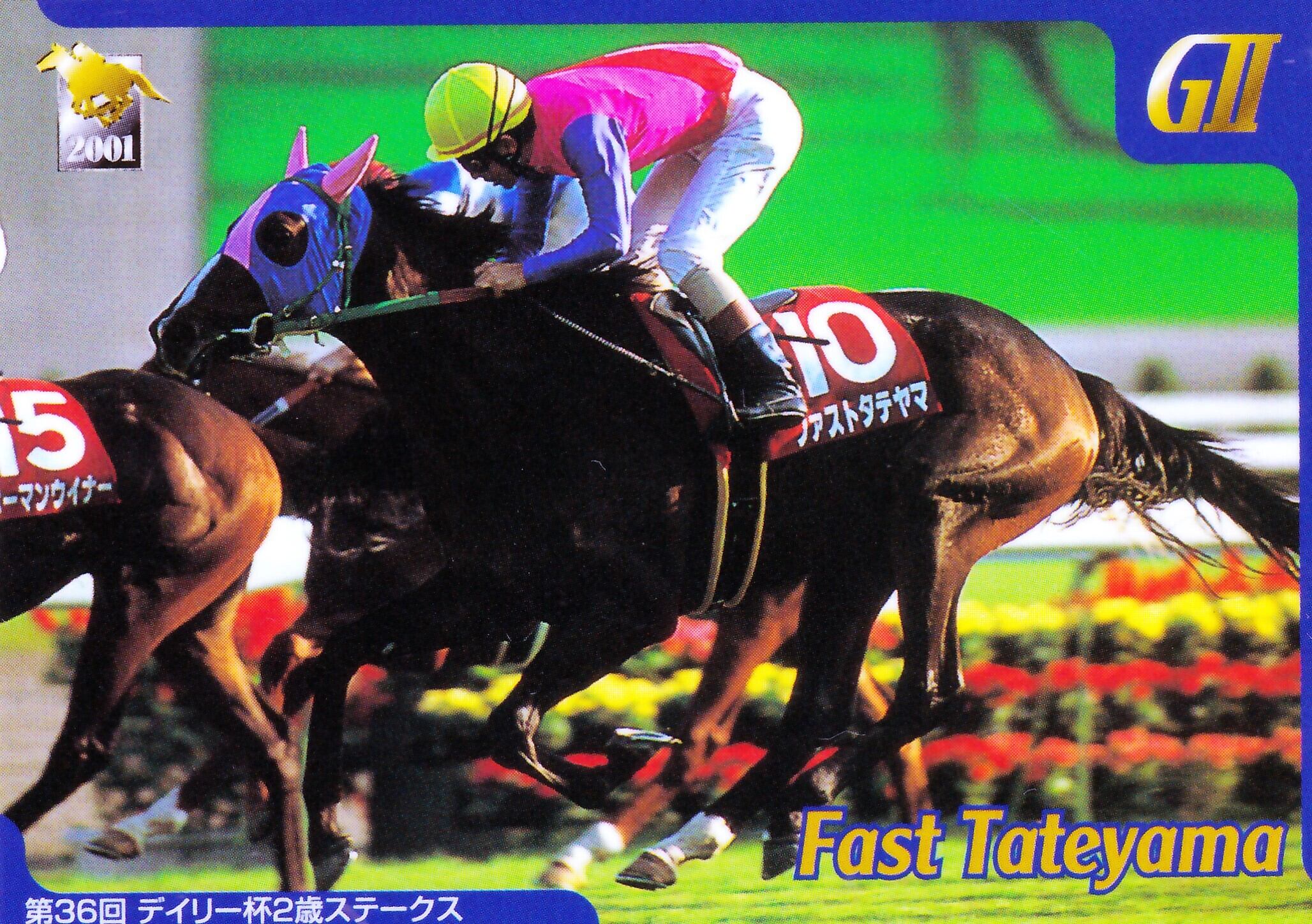ファストタテヤマ：第36回 デイリー杯2歳ステークス