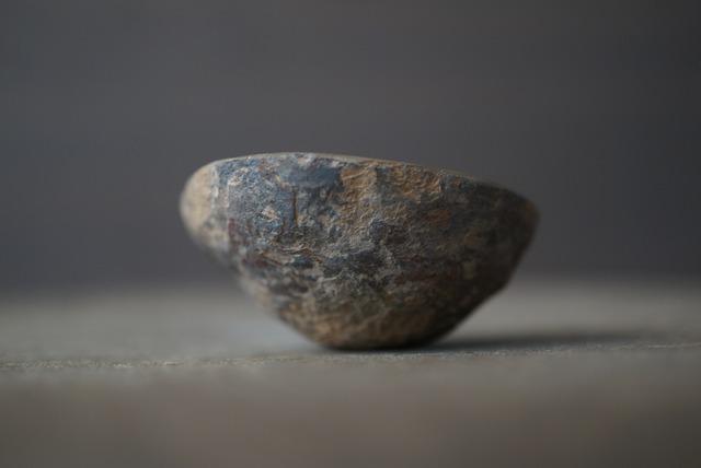 セプタリアン Septarian 1691