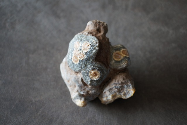 ゴビアゲート Gobi Agate 1034