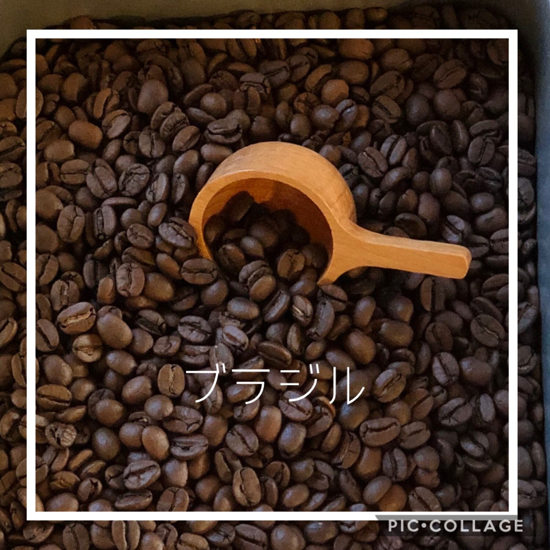 ハルカゼ様専用】コーヒー生豆2種類セット！ ※送料無料