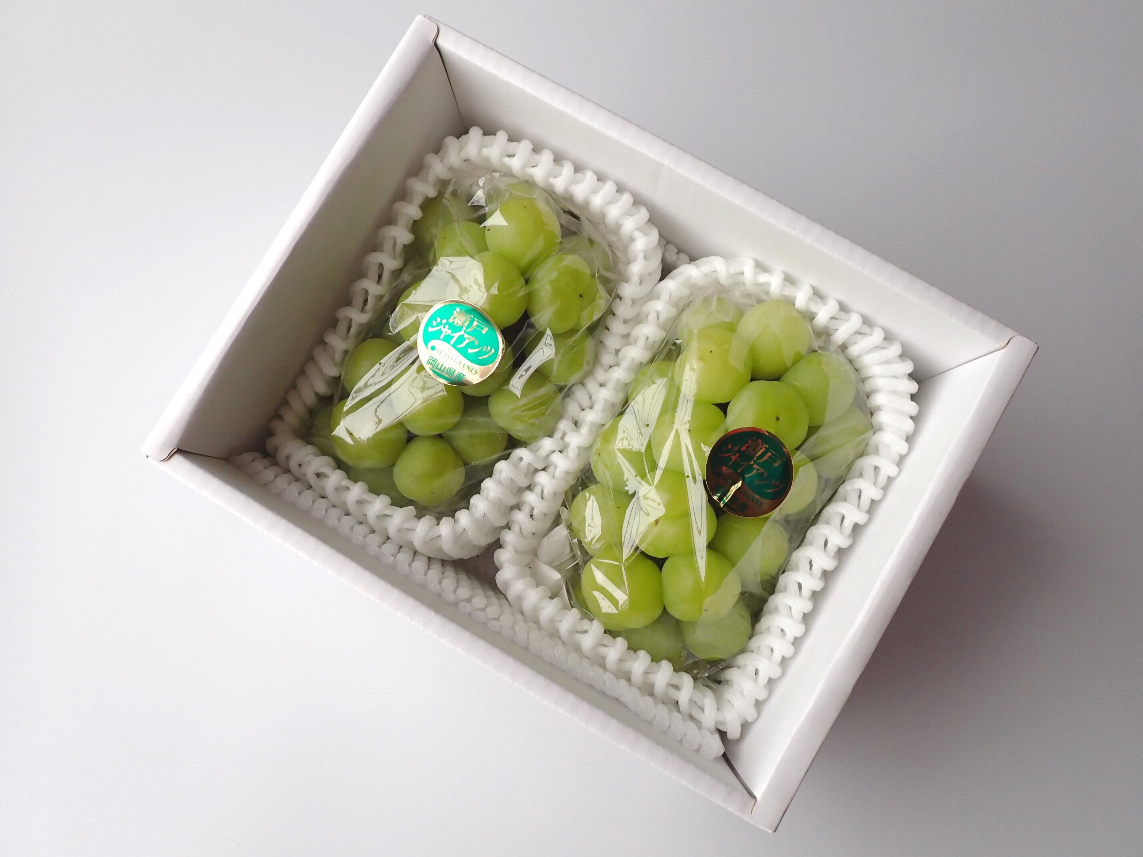 [9月中下旬から発送]ギフト仕様 瀬戸ジャイアンツ（内容量　2房、約1.2kg）