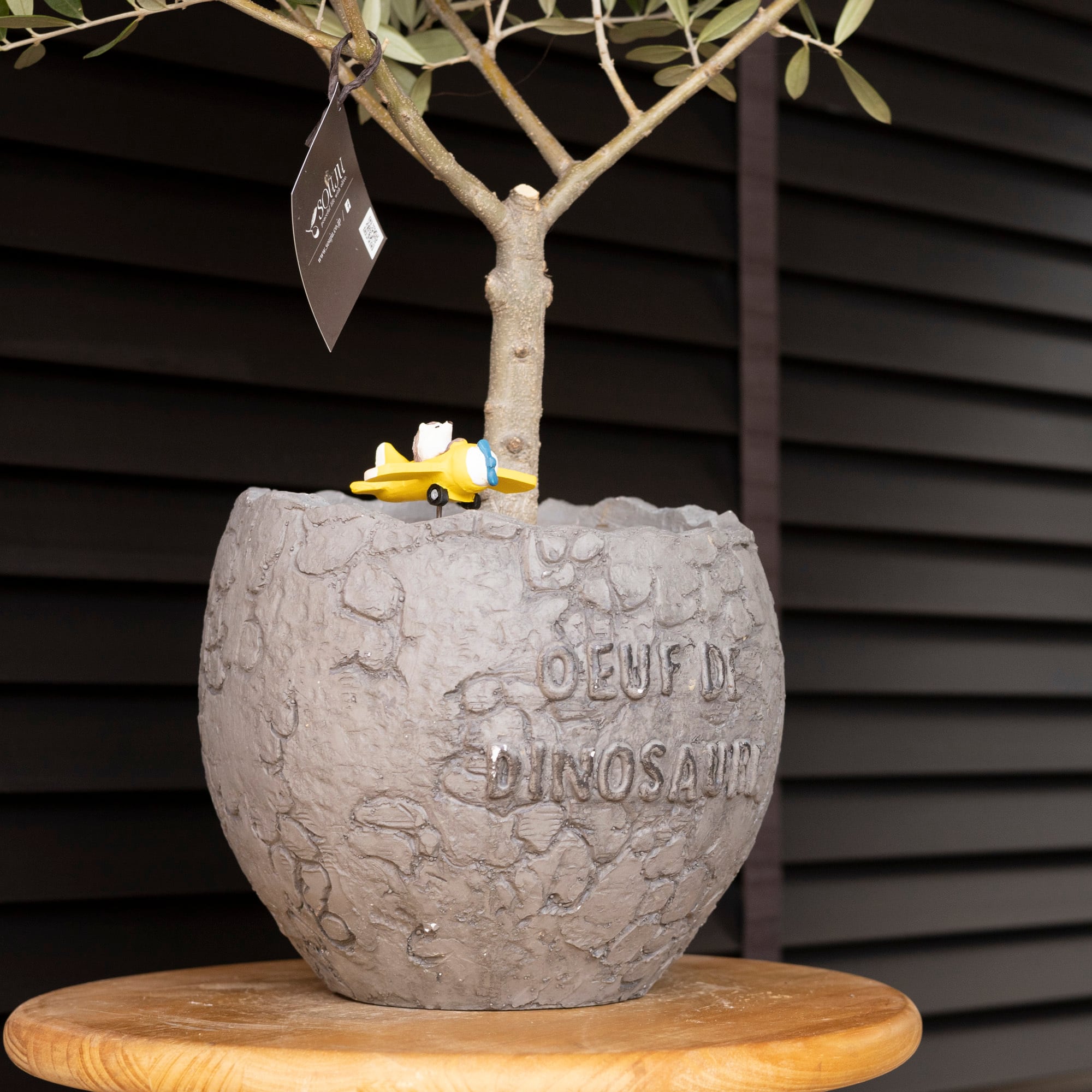 陶器鉢 オマージュ invisible ink D 【公式通販】