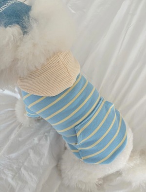 【COZYROZYDAY】Blue Vanilla Hoodie(わんちゃん用)