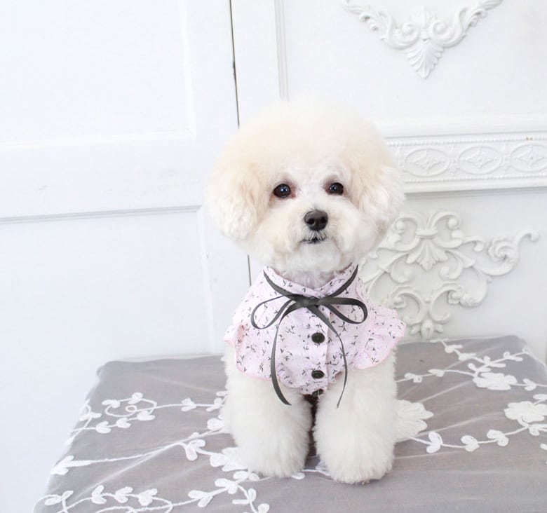 flowerブラウス S ~ 2XL 3color  /  犬服 新作 春夏 ドッグウェア ペット洋服 犬 服 お揃い 可愛い お出かけ top72