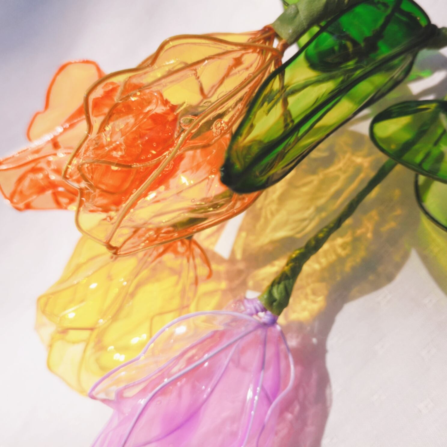 ラベンダー1本クリアチューリップ | clear tulip