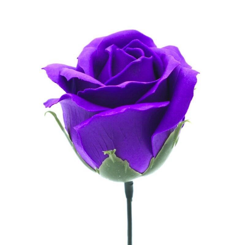 プリンセスバラS-PU4 ディープバイレット (15輪入りor25輪入り)