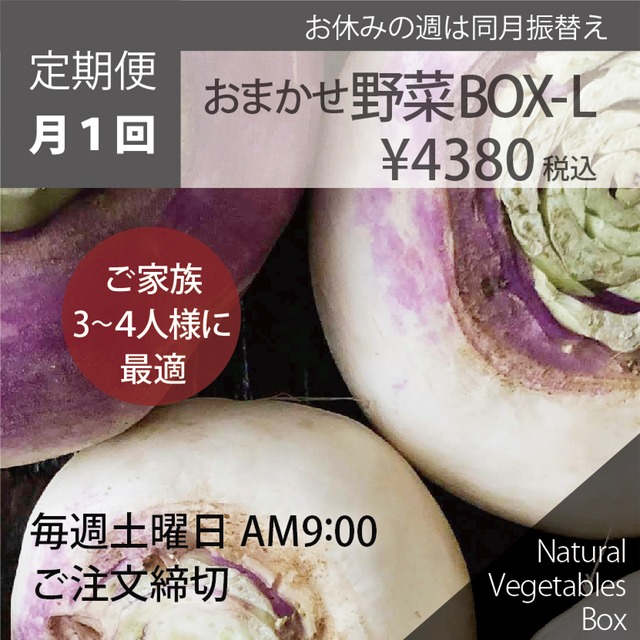 【月1回】おまかせ野菜BOX - Lサイズ