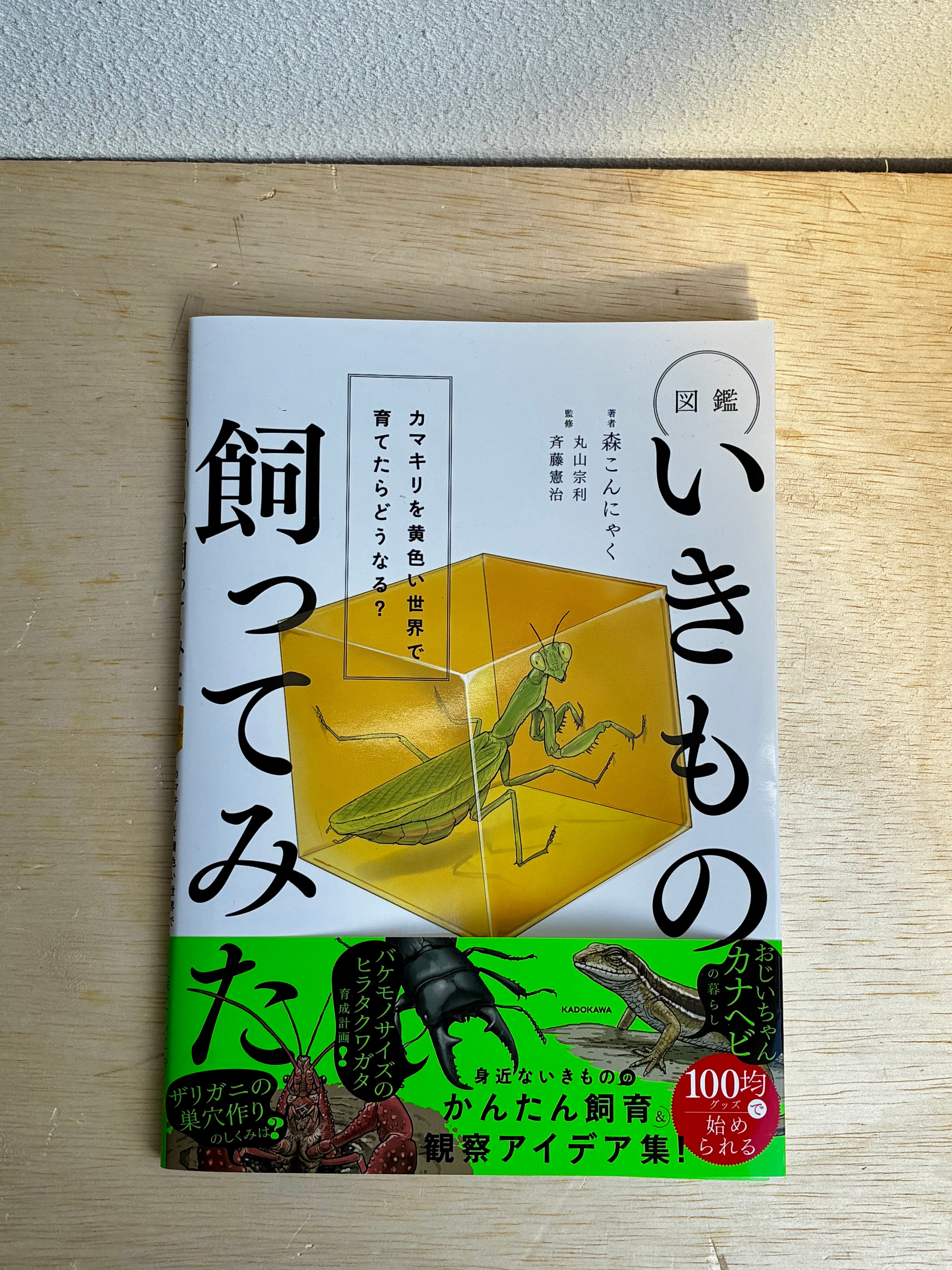 新本 | ホホホ座 西田辺 絵本・新刊本・古本