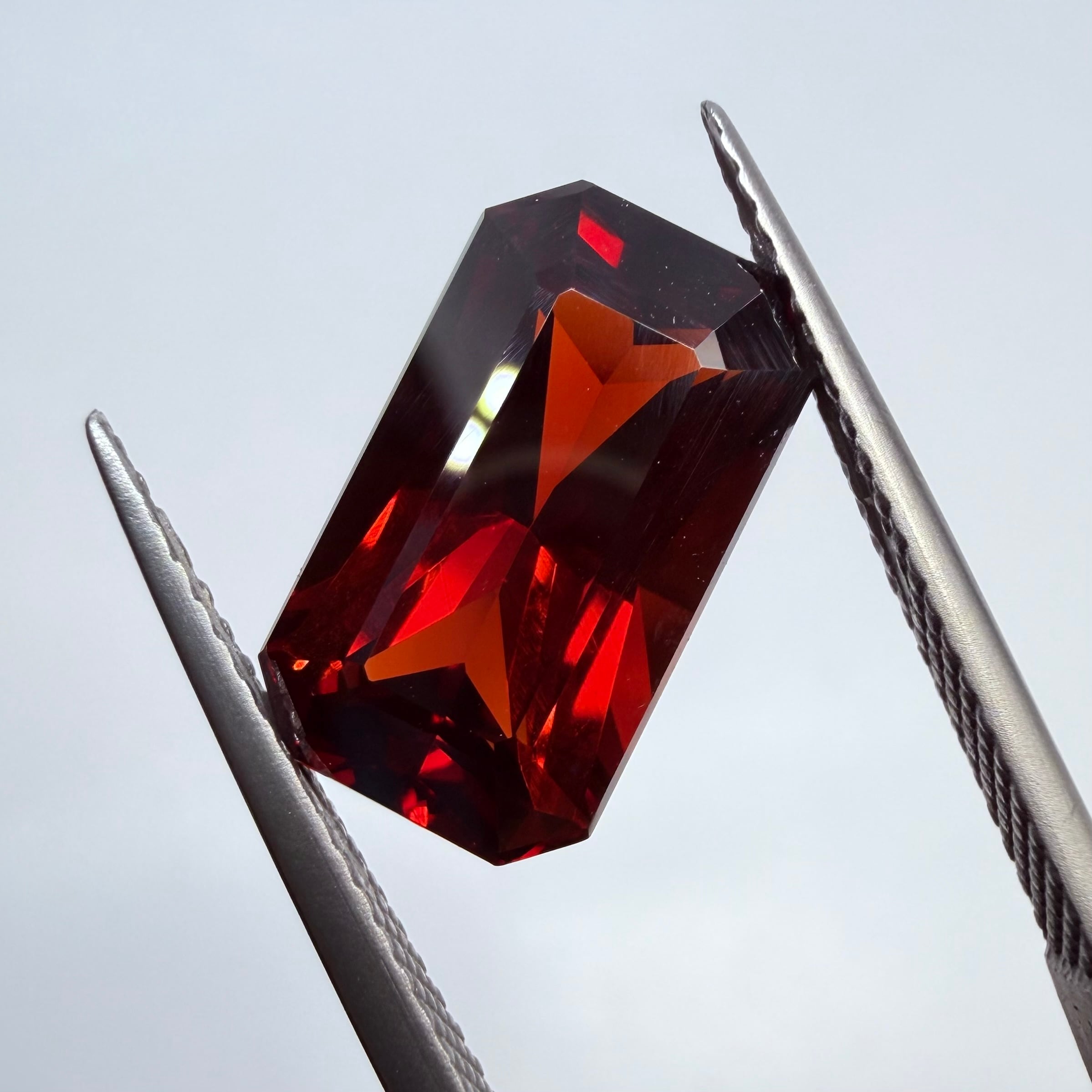 サラブレッドのような重厚感のあるスペサルティンガーネット