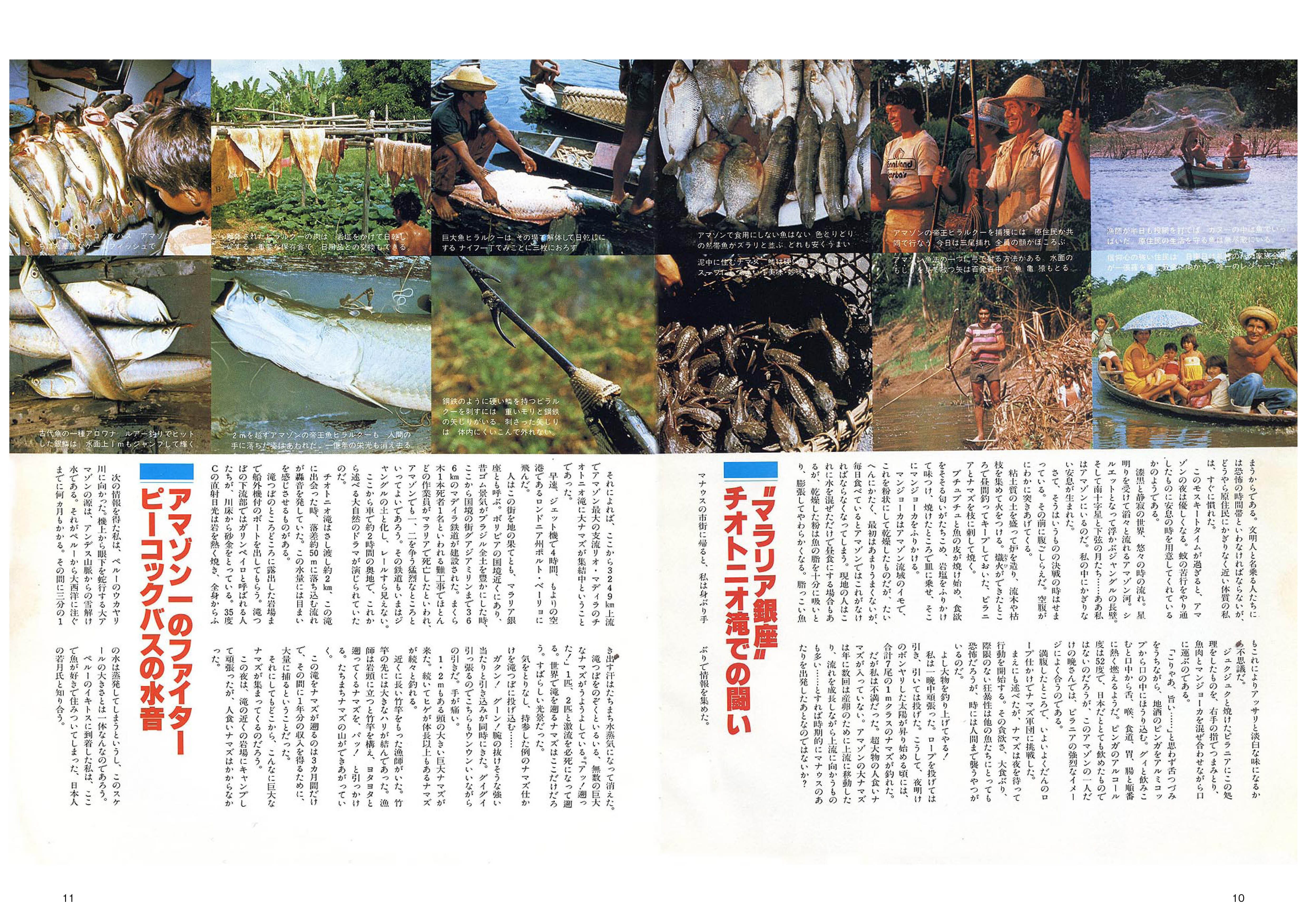 アマゾンマン ヒストリー1 | Pay ID