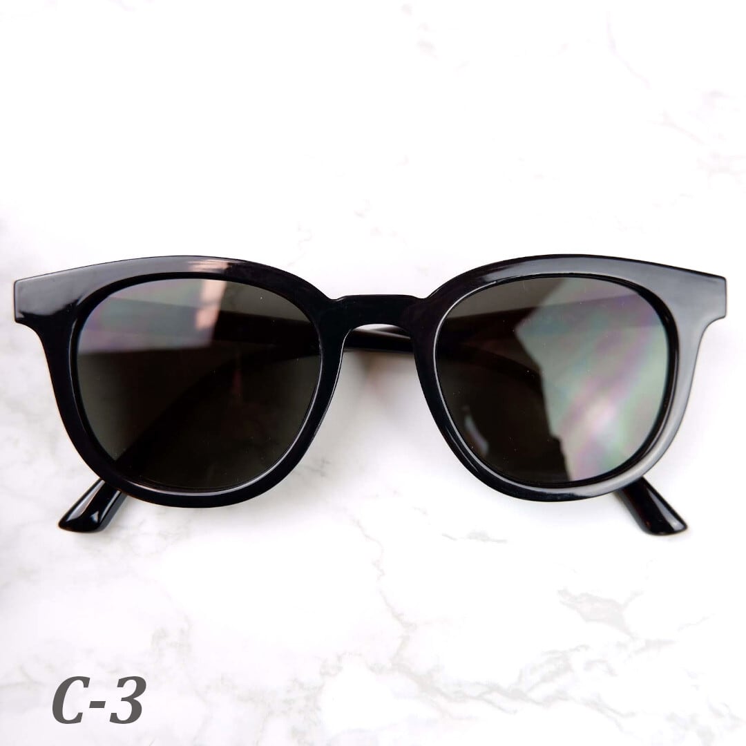 □フラットレンズ 4カラー ウェリントン サングラス H-WF014C | HALM JAPAN