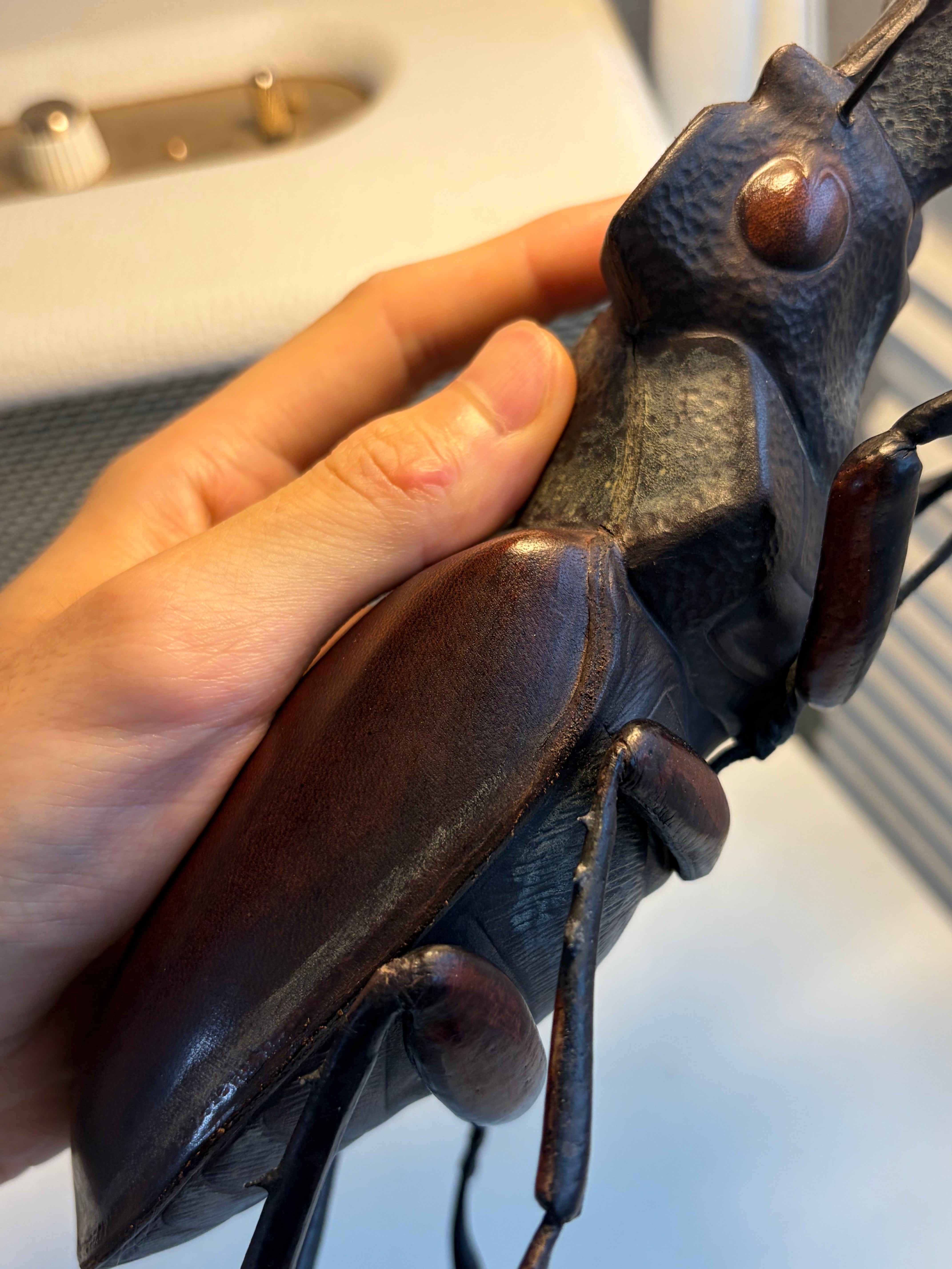 クワガタ (レザークラフト) 足先縦30cm、巾20cm 作者 河野 甲