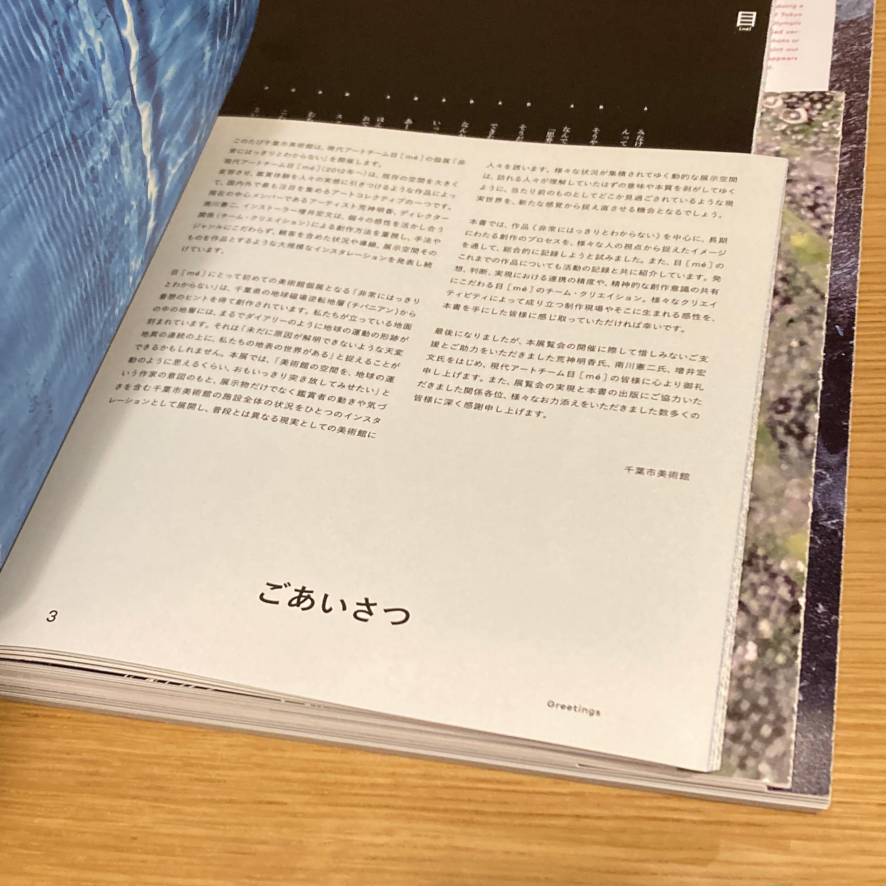 目 [me] 非常にはっきりとわからない 図録 千葉市美術館 目［mé］ 非常