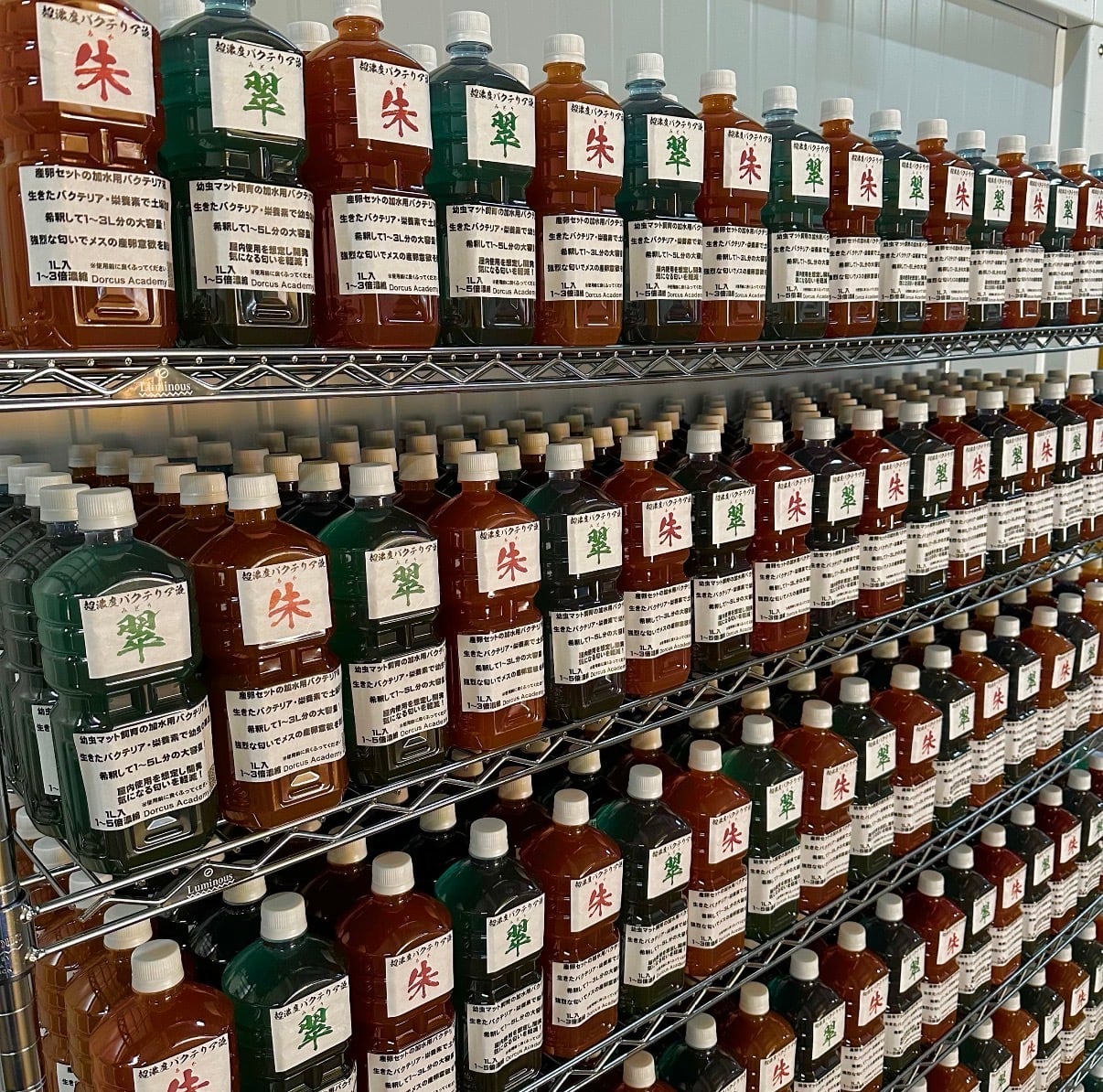 朱】超濃度バクテリア液 1,000ml | KPW BASE店