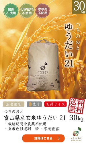 無農薬栽培米30kg『つちのおと』玄米ゆうだい21【送料無料】愛知県産【玄米】【令和7年産】