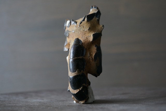 オーストラリア産ロブスター化石 Thalassina anomala Fossil  820