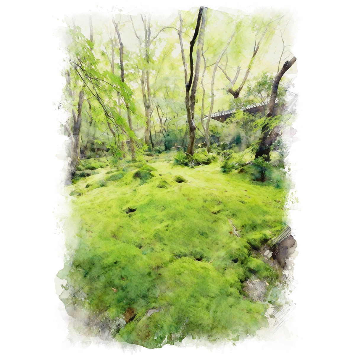 絵画(風景画) 日本 京都府 祇王寺の苔庭 インテリアアート額付き