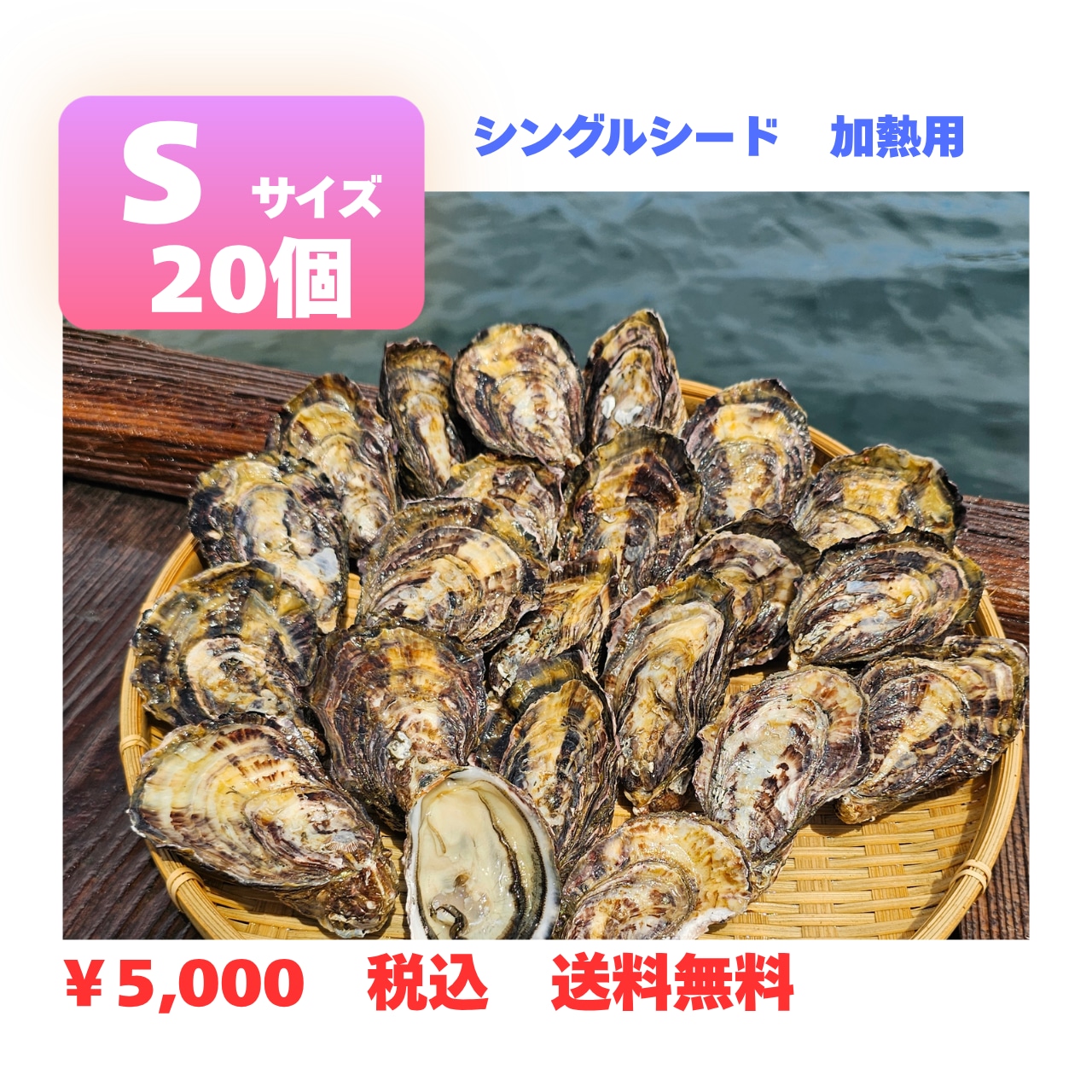 牡蠣Sサイズ（20個）シングルシード三倍体 （うつみ牡蠣小町