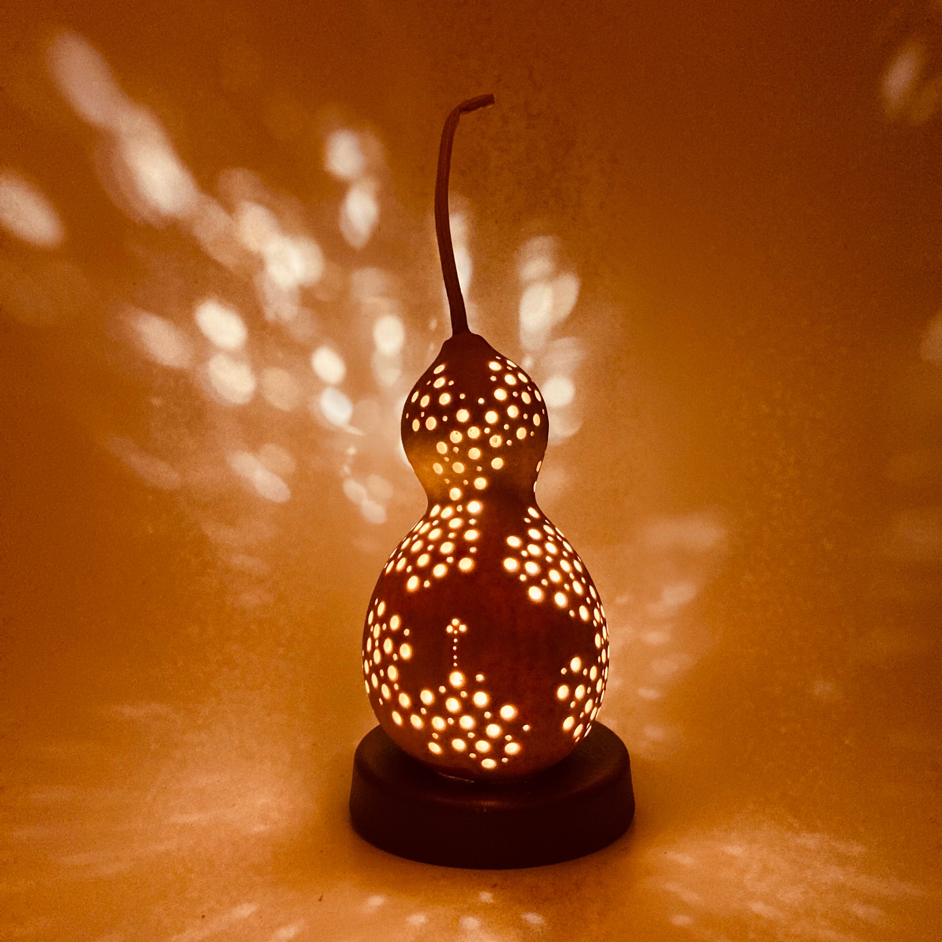 じゃごけランプ23