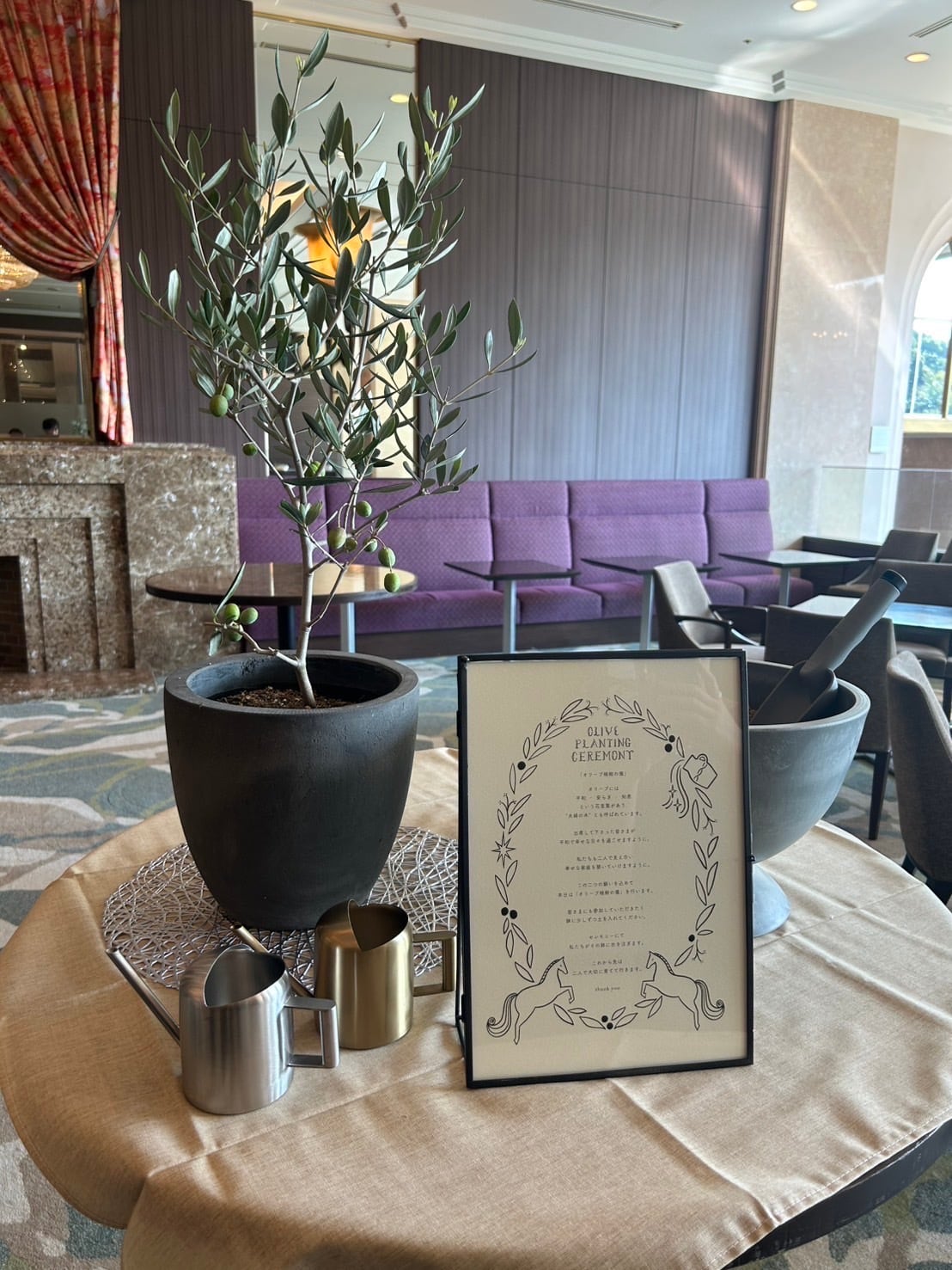 オリーブ植樹の儀セット | ALETTE OLIVE