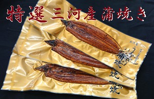 三河一色産　冷凍うなぎ長蒲焼5尾セット