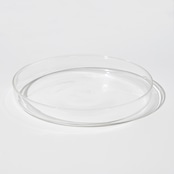 【ICHENDORF】PIUMA teacup&saucer