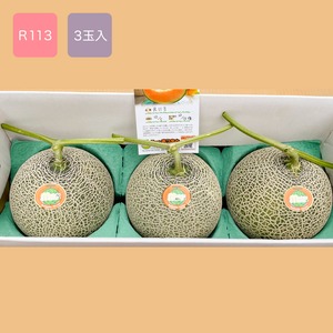最高級富良野メロン　R113　秀品　大玉(1.6〜2.0キロ)3玉入