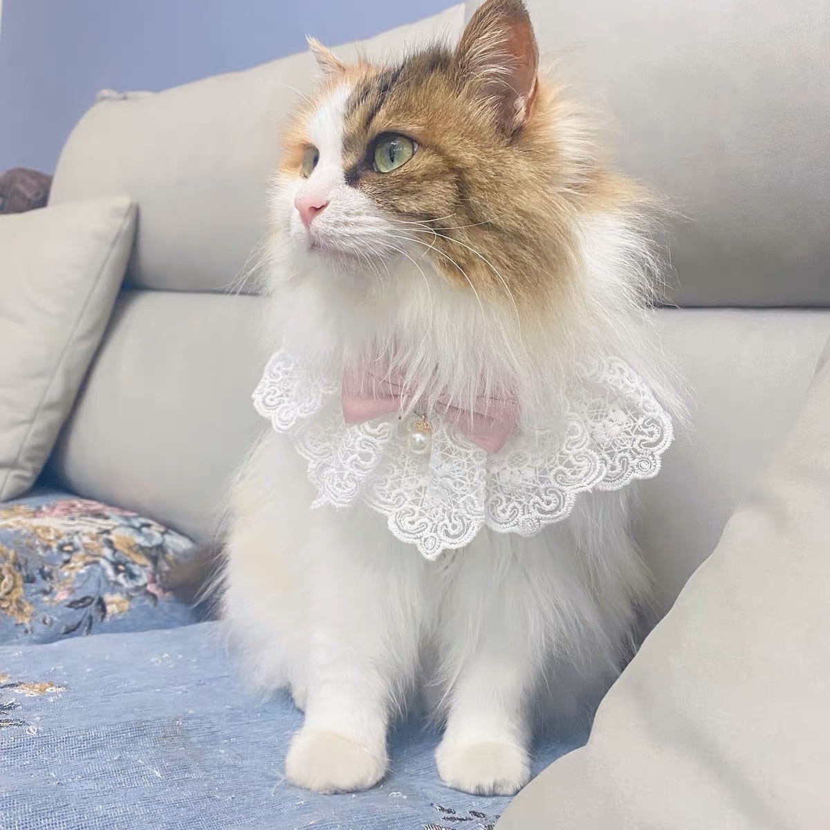 Lace&Ribbonエプロン 首輪 首飾り 猫 | nyanpets 猫グッズ専門店