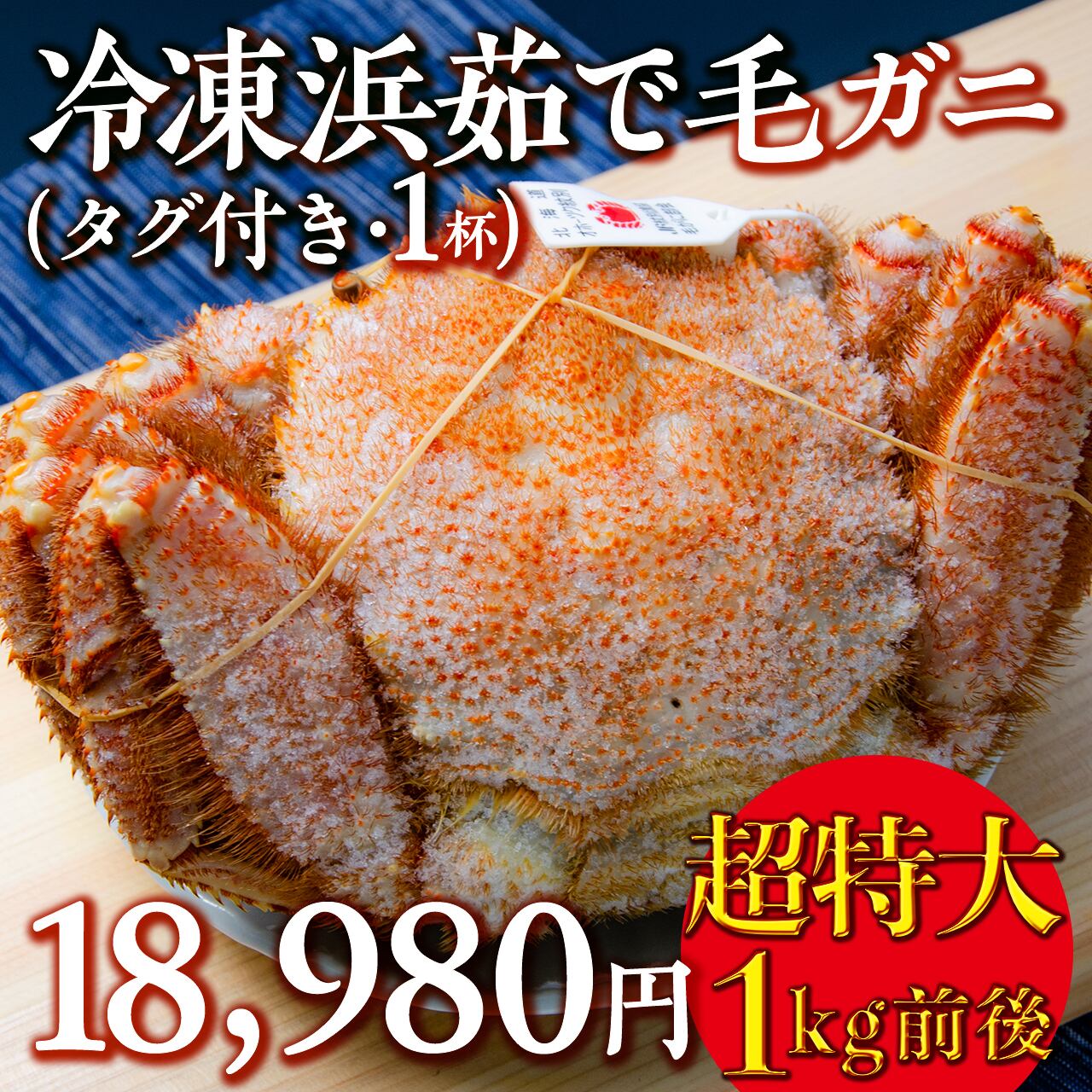 特選 北海道産 超特大サイズ訳なし 浜茹 イルチルド毛蟹2尾1.6kg前後  