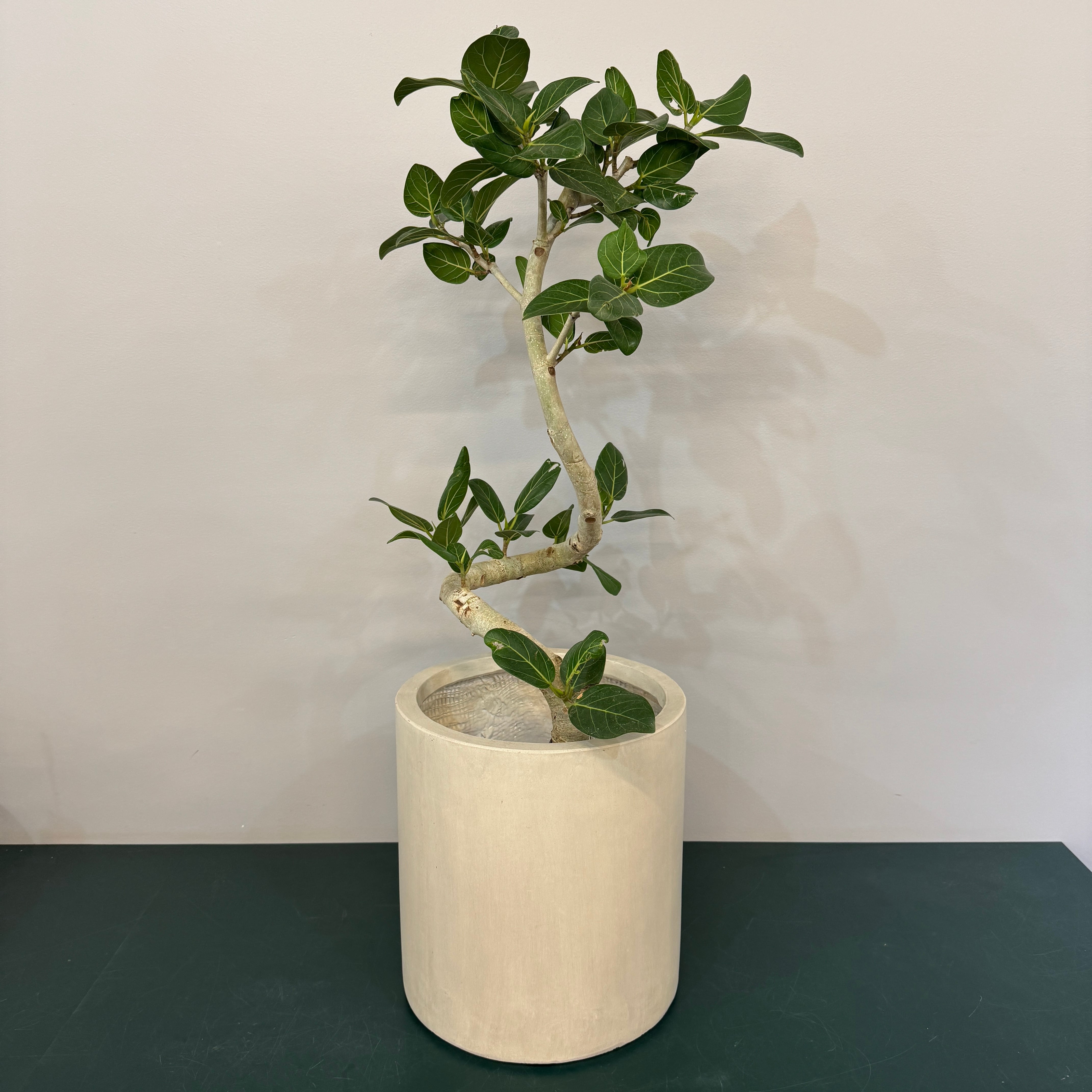 Proliferation　Geert Goiris　プリント付　限定300部 GA-2430 エイリアス シリンダー 30cm ウォッシュグレー | PROTOLEAF