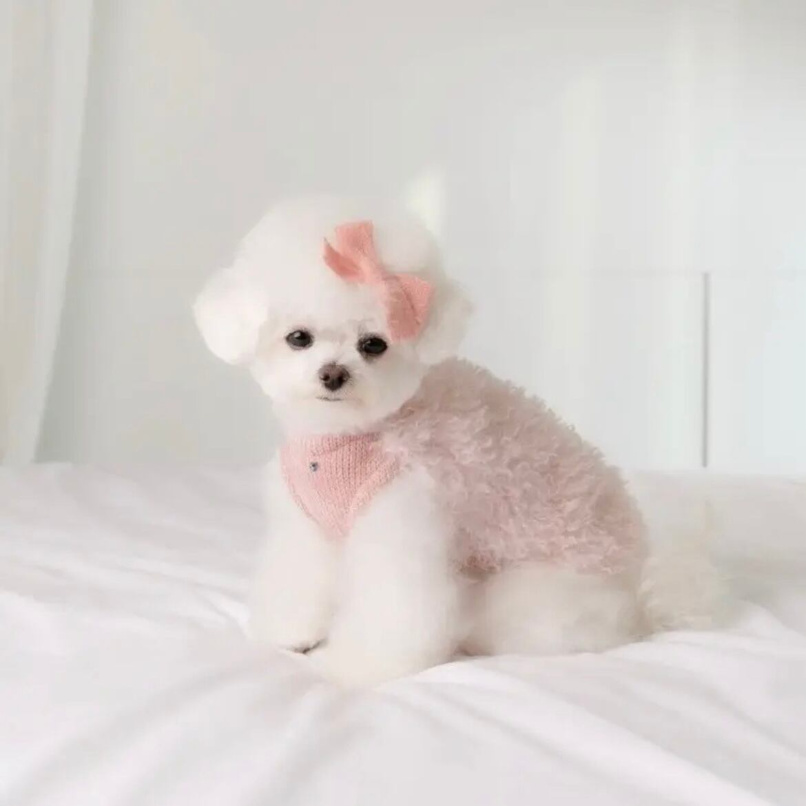 【専用BOX】M&M 様