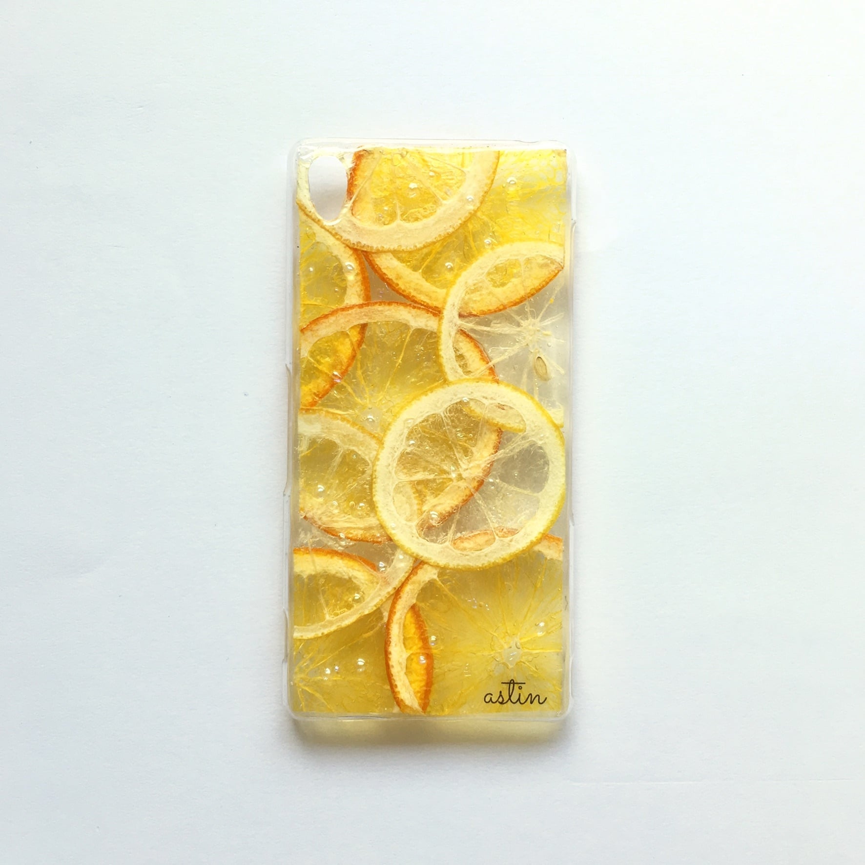 22.レモン&オレンジ | astin muhler | 押し花・押しフルーツの全
