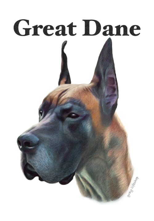gray original Dog face &breed printed S/S TEE［Great dane］