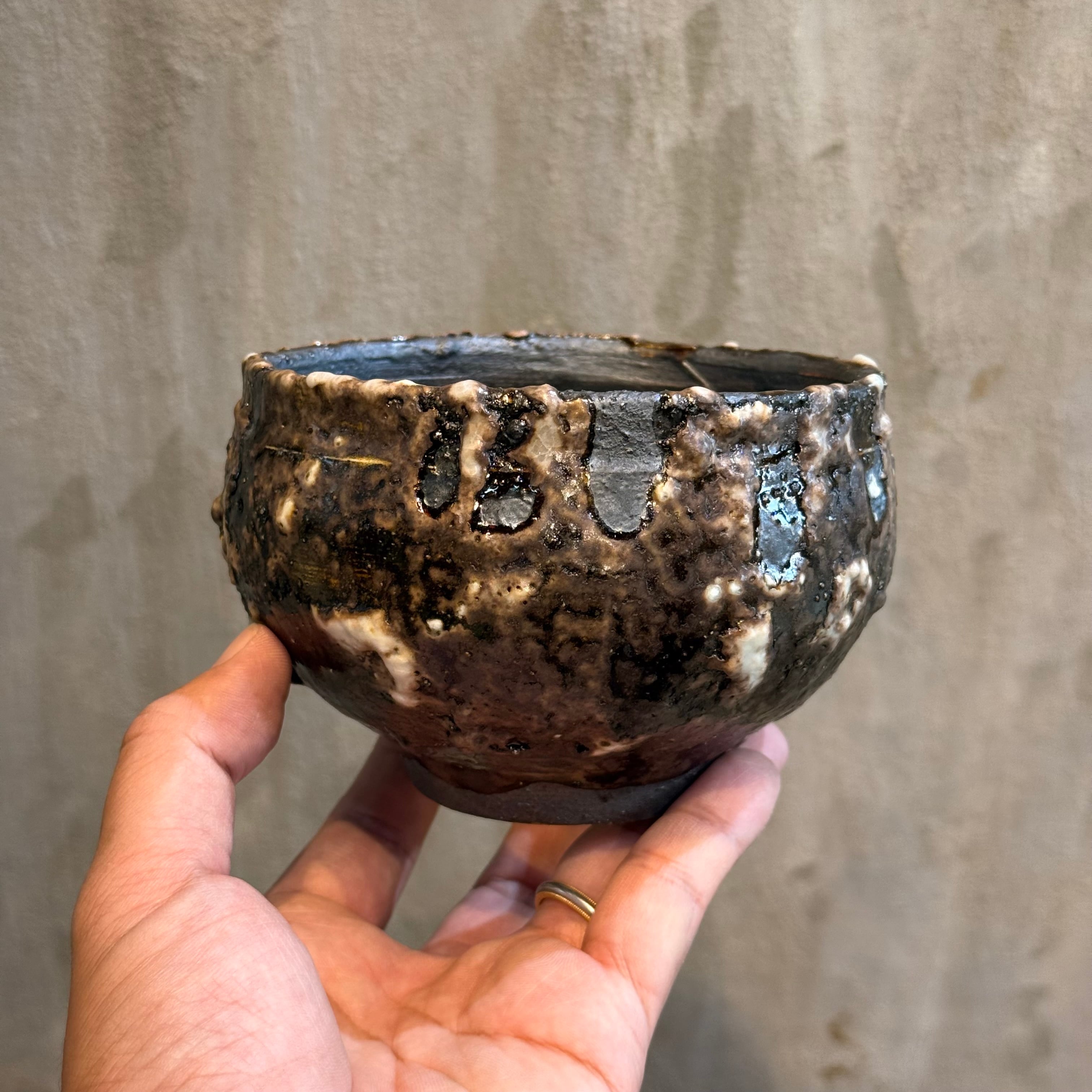 植物×鉢】パキポディウム ウィンゾリー 良型実生株 × Valiem ghost | A