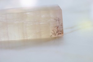 果敢に挑戦する