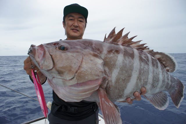 SpinRiderDeep/スピンライダーディープ460g SN1460 | NatureBoys