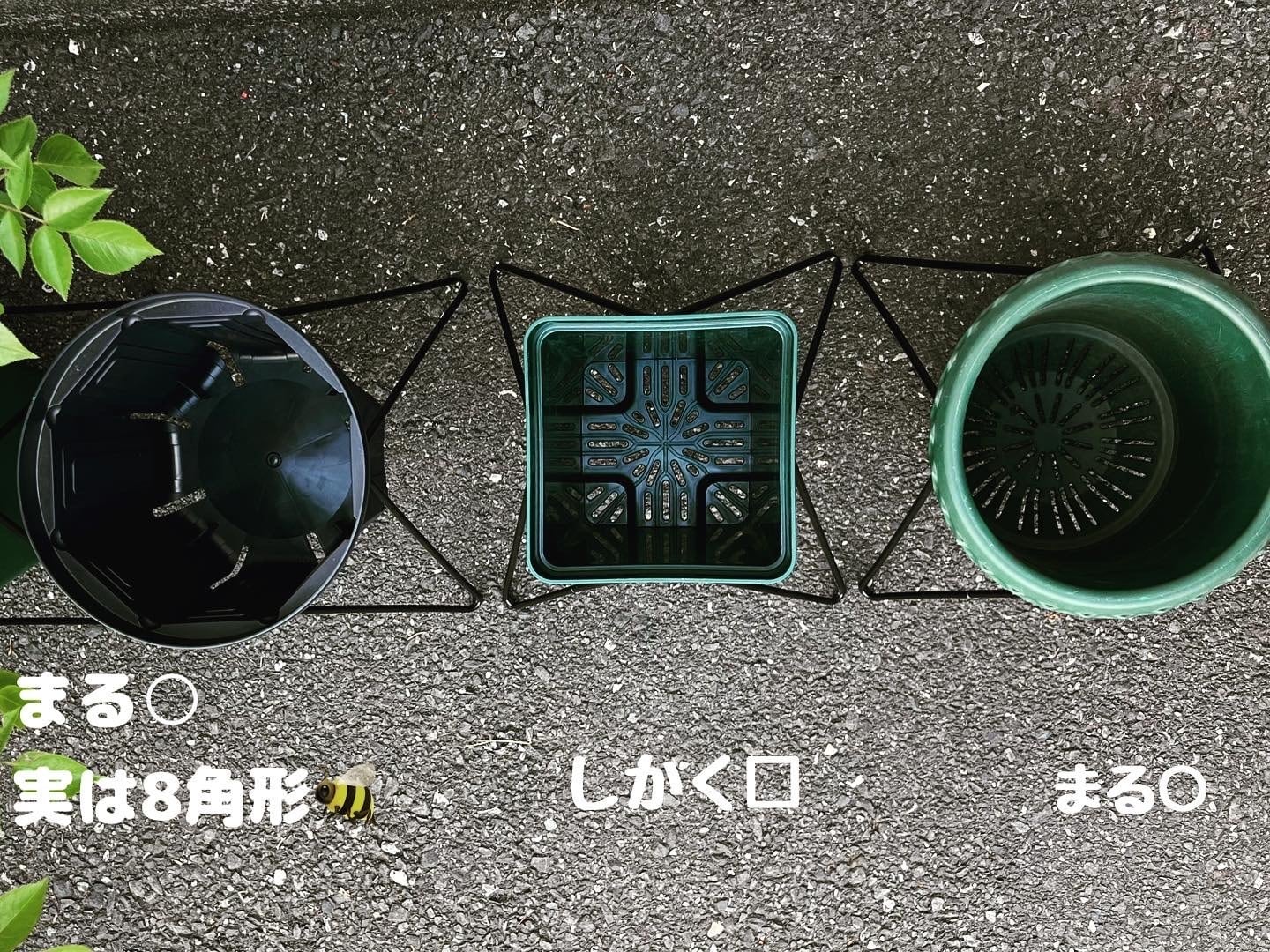 ◇MSS-6 マジックスクエアスタンド | bellsmoreのひとはこ。