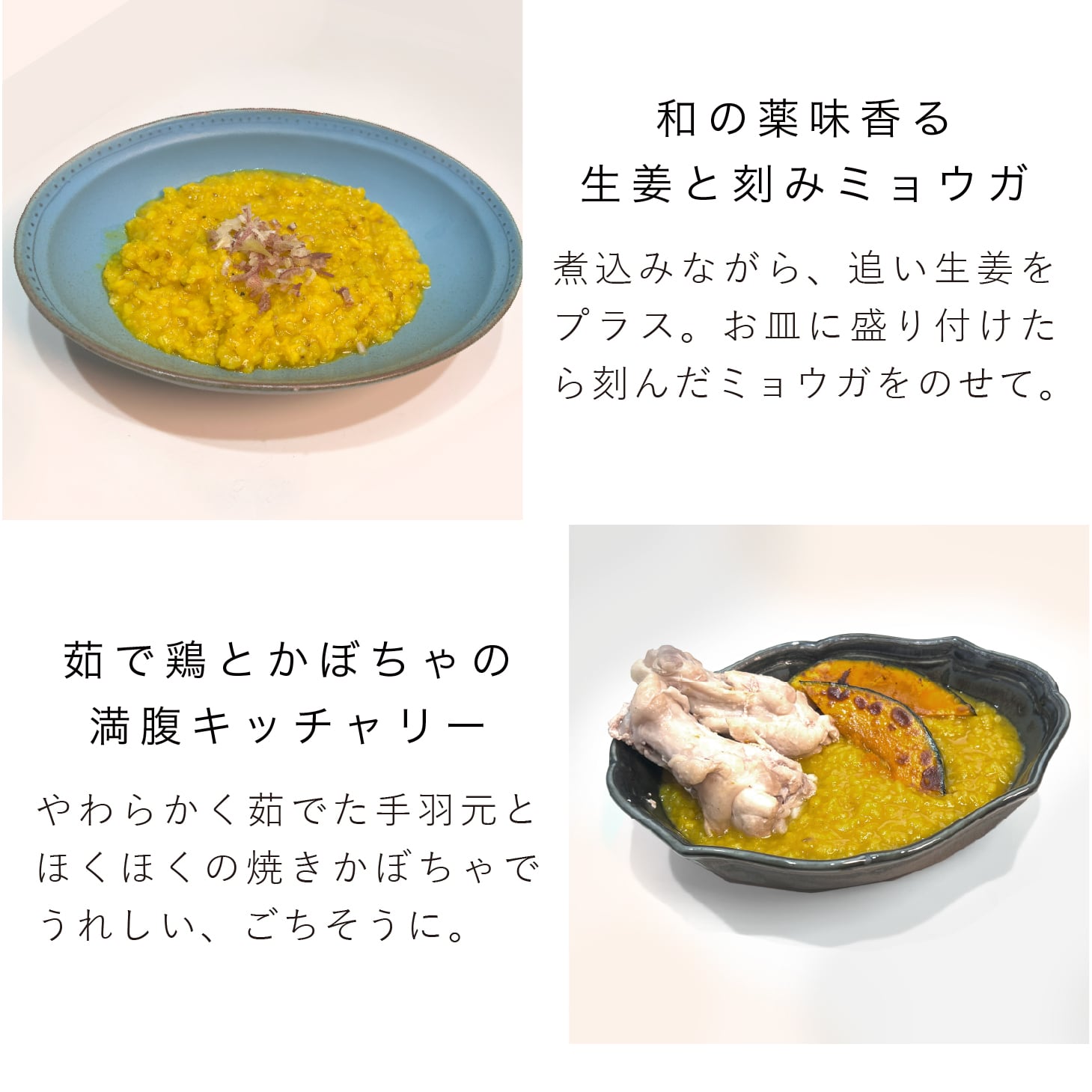 キッチャリー クレンズ(3～4杯分) | 送料無料 | ARYURVIST｜公式