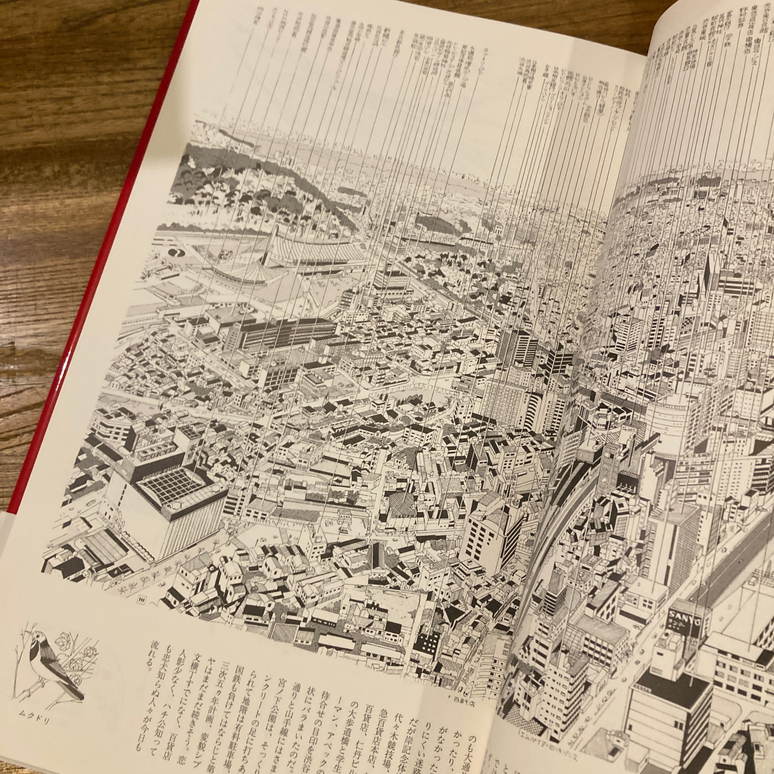 新装版 真鍋博の鳥の眼 タイムトリップ日本60' S / 真鍋博 | 百年