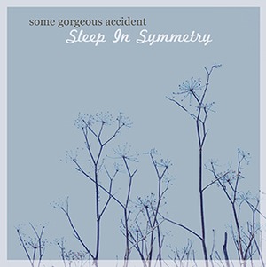 Some Gorgeous Accident / Sleep In Symmetry 