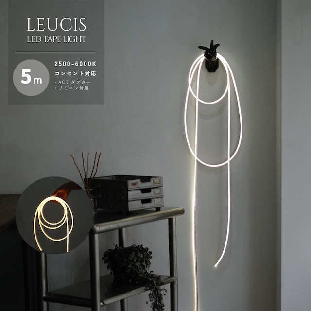 LEUCIS LED テープライト 5m