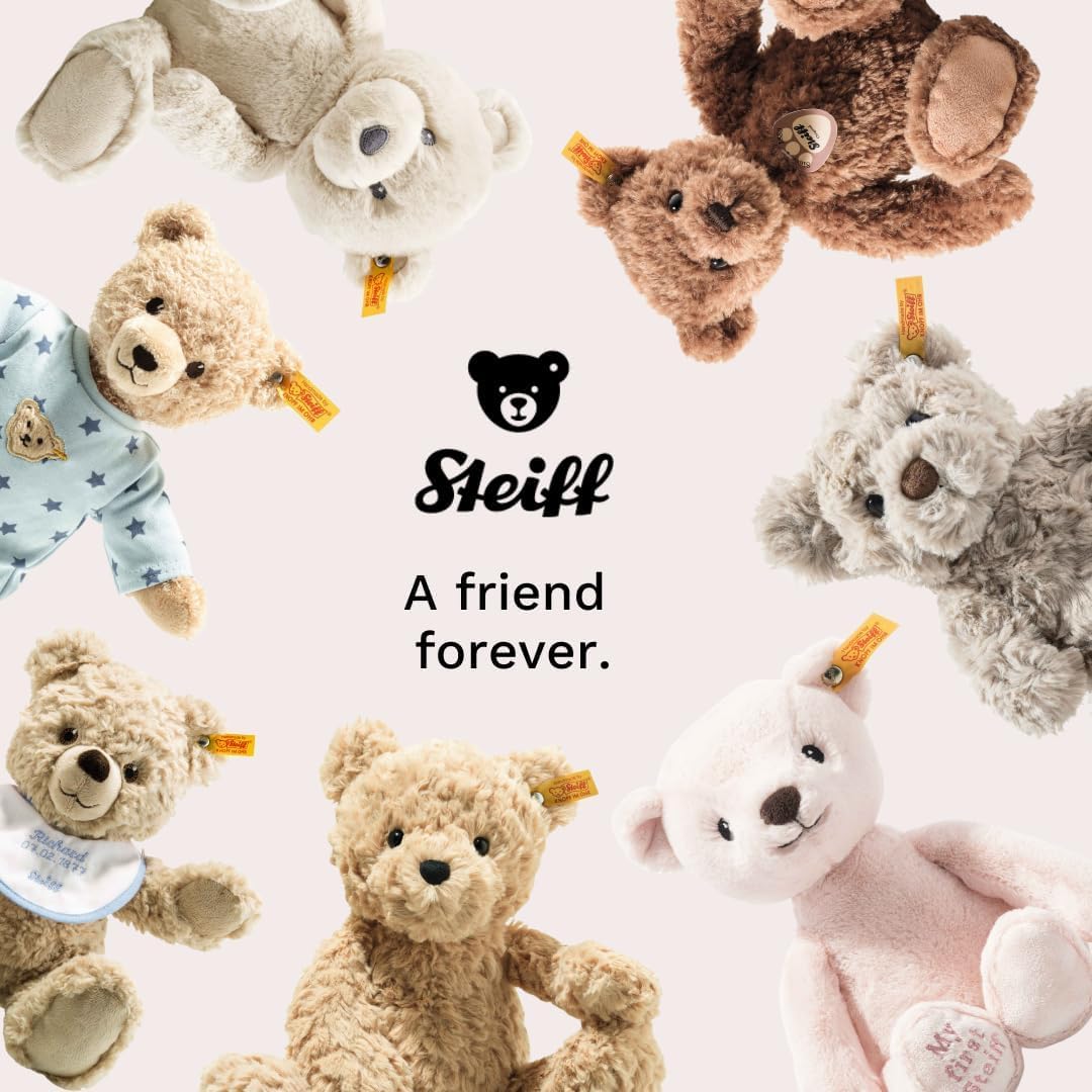 RILY テディベア RILY テディベア 超美品‼️Steiff RILY テディベア RILY テディベア