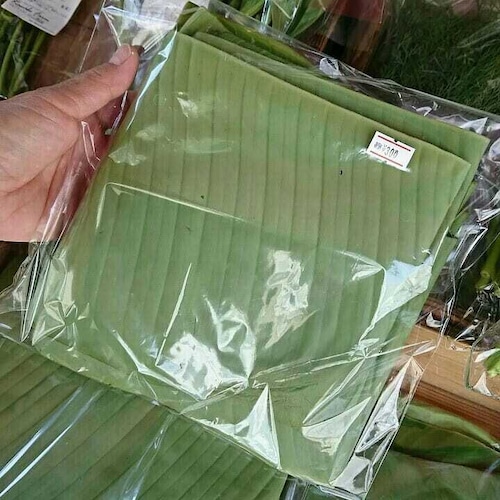 【シーズン終了しました】バナナの葉　ใบตอง　Banana leaf   80g  )15cmX30 2-3枚程度 ※葉の大きさによって異なります