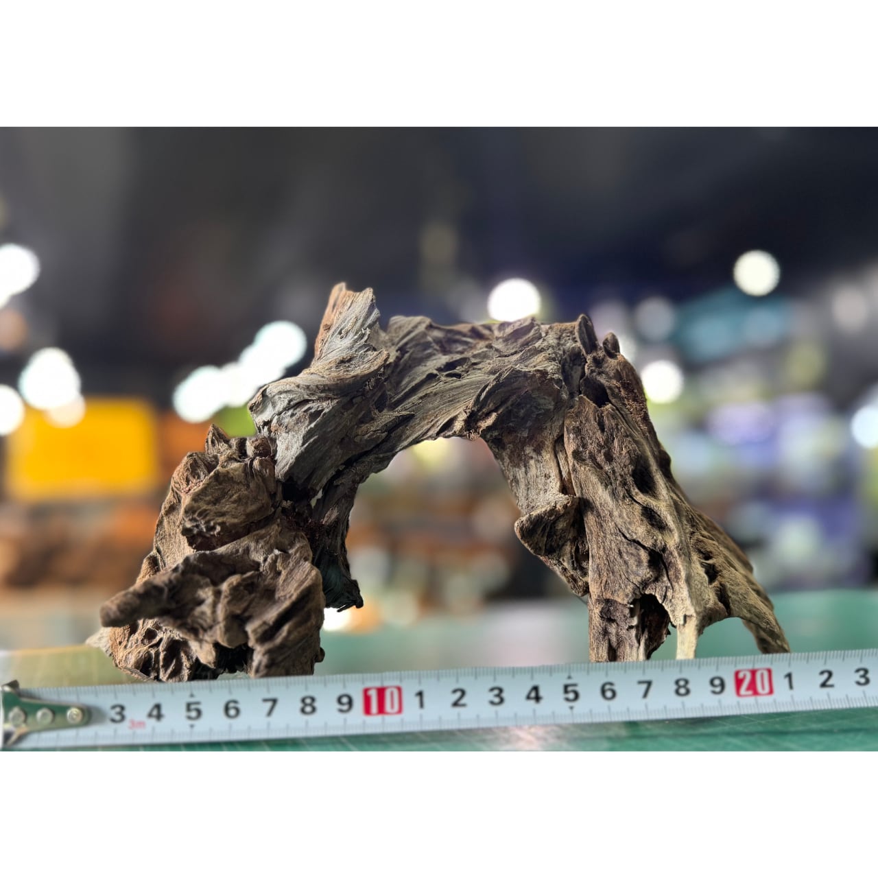 一点物 アーチ流木 【No.002】 | ヒロセペット成田空港店