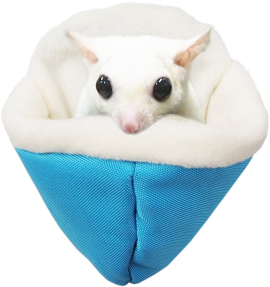 【小動物用品】寝ごこちコクーン　ブルー/グリーン/イエロー